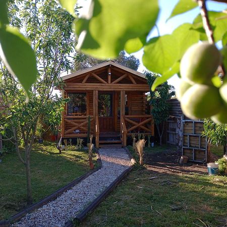 Foresta Acantilados, Casa Container Y Cabana De Troncos Mar del Plata Esterno foto