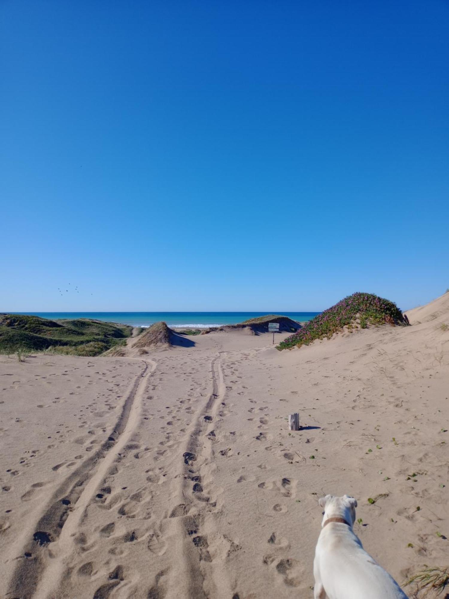 Foresta Acantilados, Casa Container Y Cabana De Troncos Mar del Plata Esterno foto