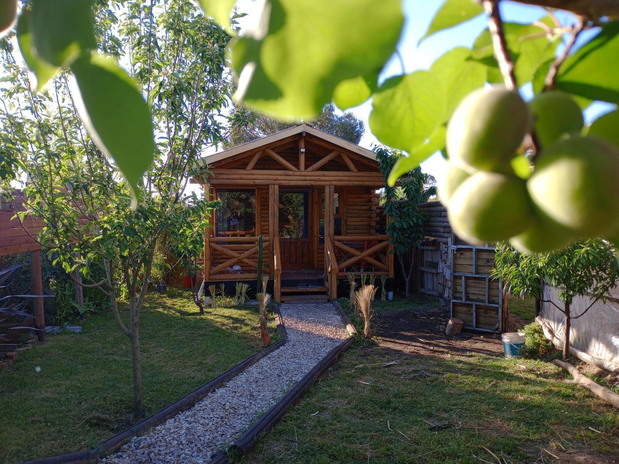 Foresta Acantilados, Casa Container Y Cabana De Troncos Mar del Plata Esterno foto
