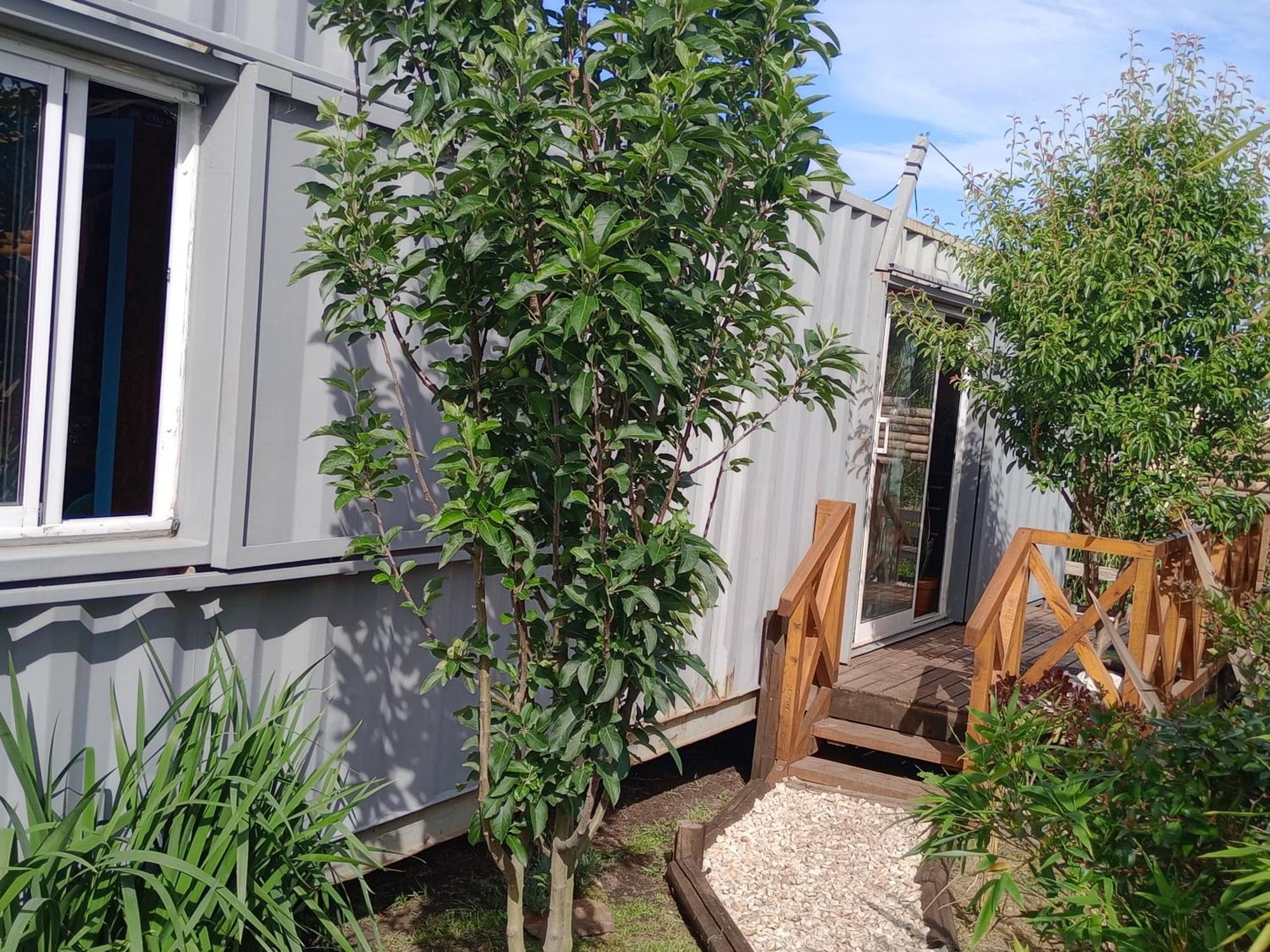 Foresta Acantilados, Casa Container Y Cabana De Troncos Mar del Plata Esterno foto
